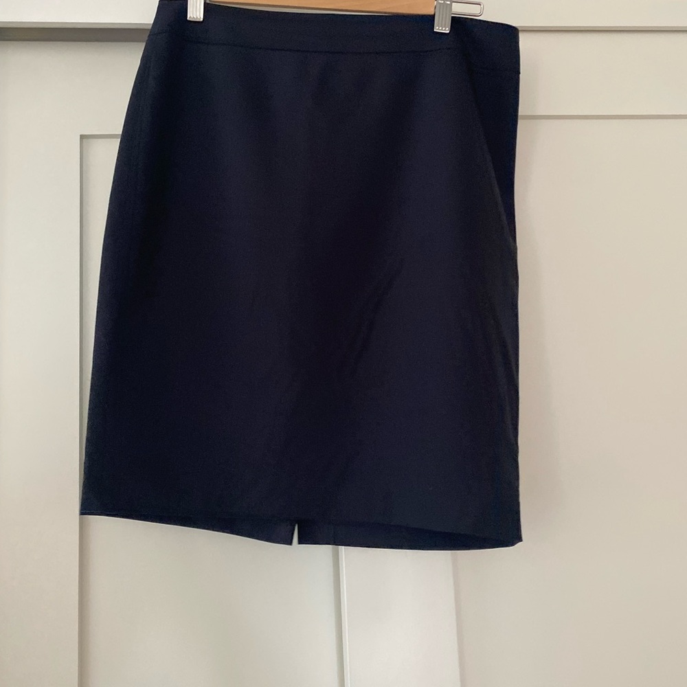 Ann Taylor dress skirt